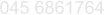 045 6861764