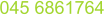 045 6861764