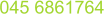 045 6861764