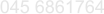 045 6861764
