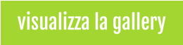 visualizza la gallery