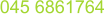 045 6861764
