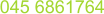045 6861764