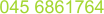 045 6861764