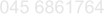 045 6861764
