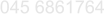 045 6861764
