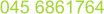 045 6861764