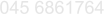 045 6861764
