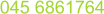 045 6861764
